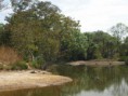 /album/photogallery/looking-towards-the-birding-lodge-at-marrakissa-feb-2012-jpg/